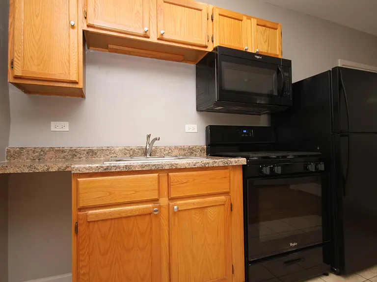 1338 W Argyle St #1N — Photo 3