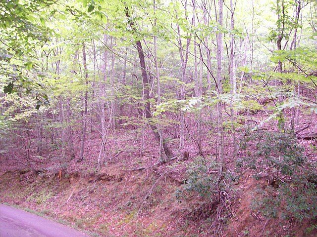 2nd image of Azalea Ridge Rd