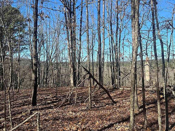 2nd image of 00M Walnut Valley Rd