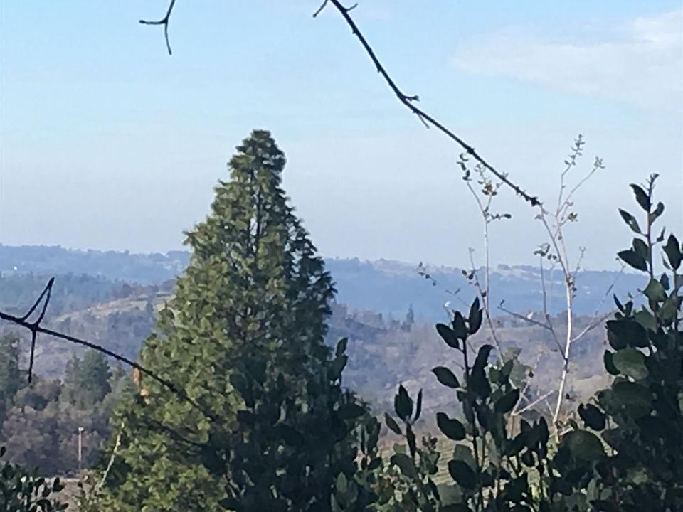 1st image of 7003 Bertone Dr