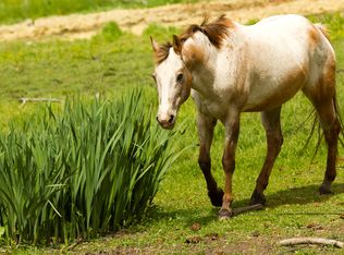 200 Mer Mac St, Reno, NV 89506