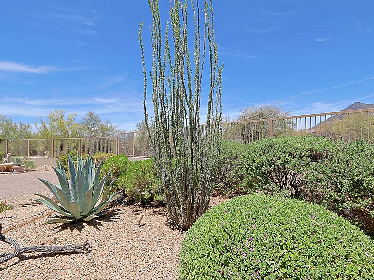 34151 N 60th Pl — Photo 25