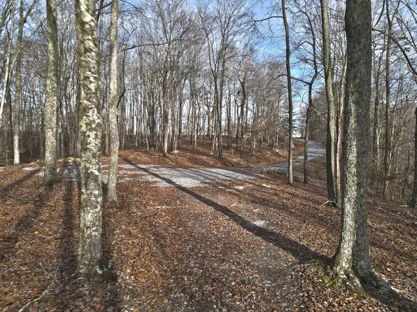 45 Carson Rd, Russell Springs, KY 42642