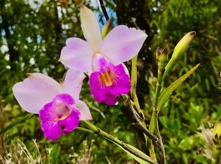 Kaleponi Rd LOT 82, Volcano, HI 96785