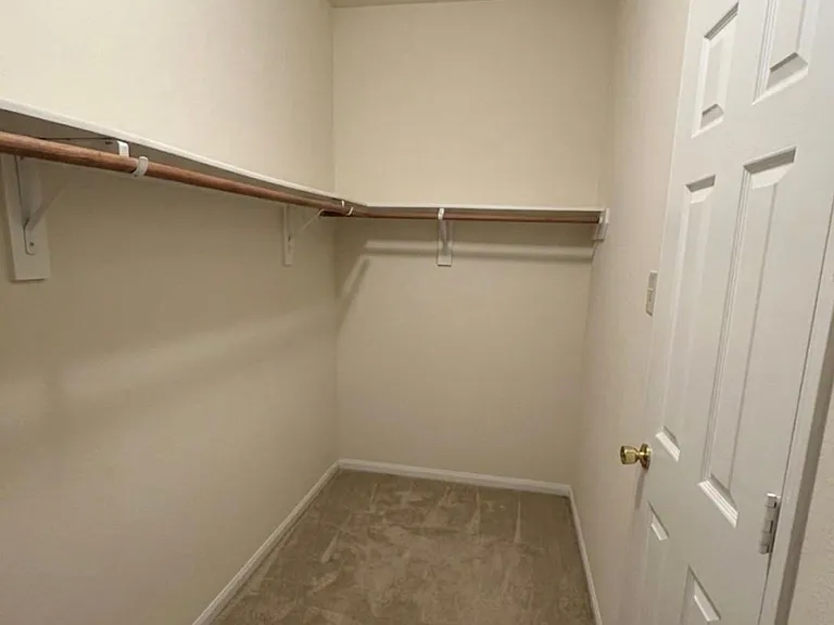 9908 Climbing Tree St — Photo 12