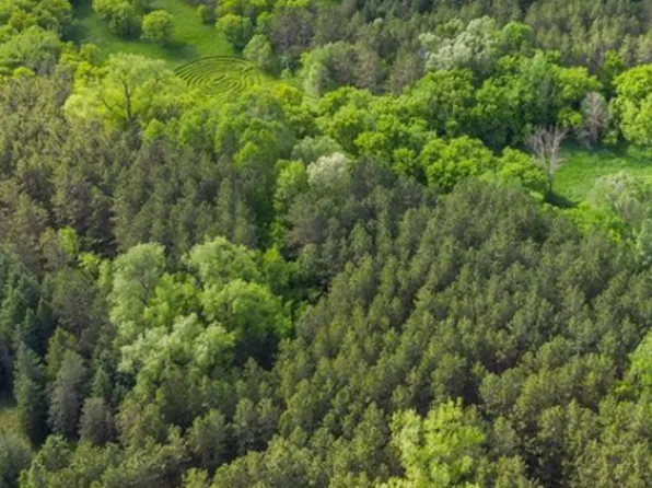 20 Acres Town Of Dl, Maiden Rock, WI 54750
