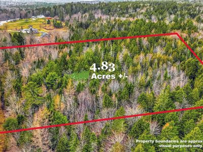 0 Swamp Road, Gouldsboro, ME, 04607