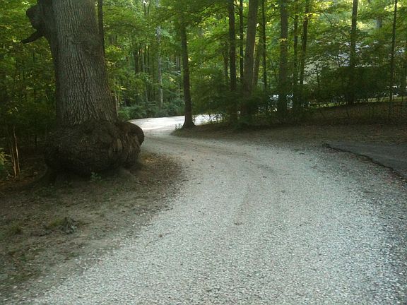 Half way down the driveway.