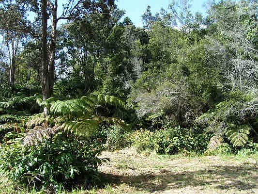 4th image of Laukapu Ave Lot 13
