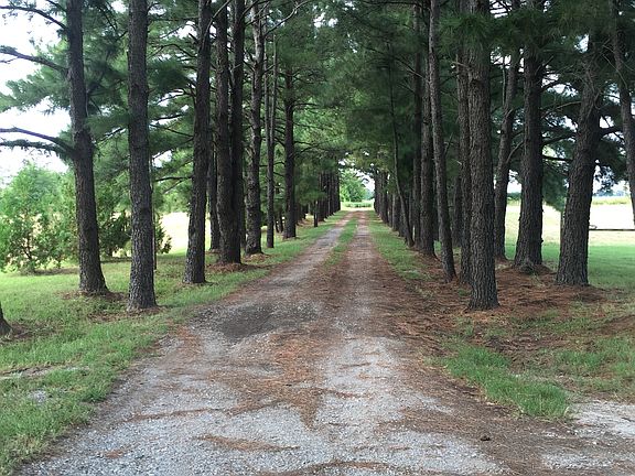 Drive way entering