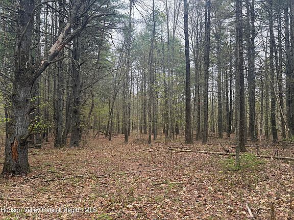 5th image of 11 Forest View Drive