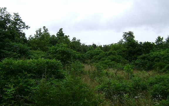 5th image of State Hwy. 20 E