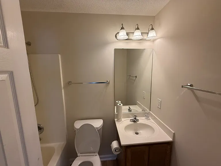 Hall Bathroom