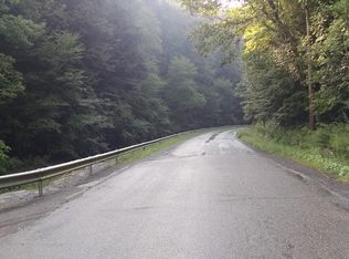 171 Lower Ravine Rd, Norwich, NY 13815