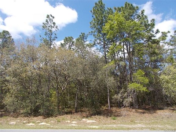 3rd image of 8824 N Travis Dr