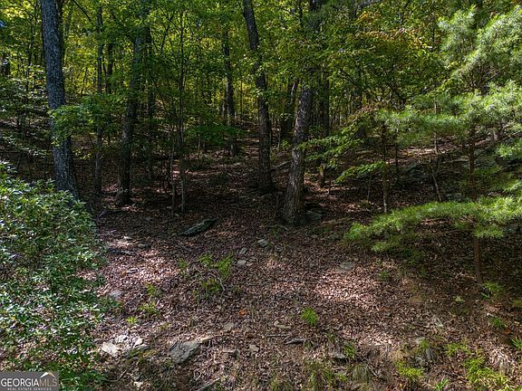 2nd image of 0 Little Hendricks Mountain Rd