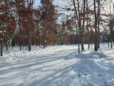 10775 Pocahontas Ave, Roscommon, MI, 48653