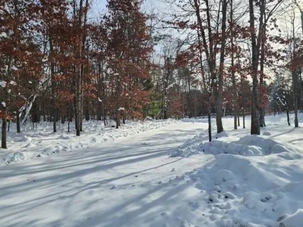 10775 Pocahontas Ave, Roscommon, MI 48653