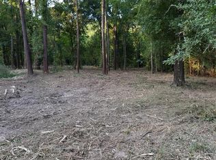 23849 S Wildwood Rd, Porter, TX 77365