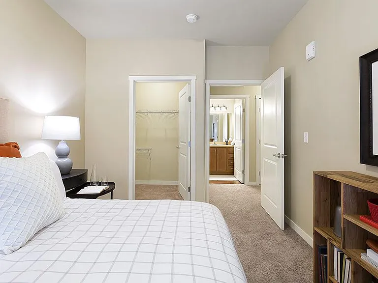 Master Bedroom With Large Walk in Closet