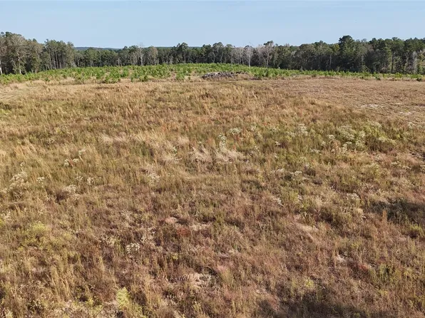 3 Young Rd, Livingston, TX 77351