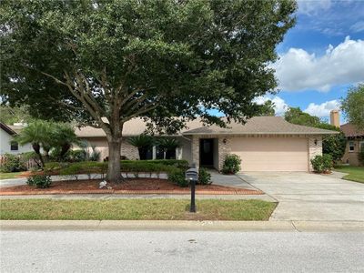 2813 Orange Grove Way, Palm Harbor, FL, 34684