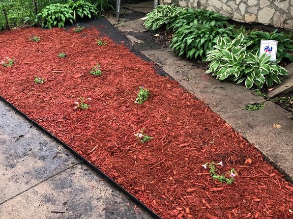 saint-paul-minnesota-2123339 picture