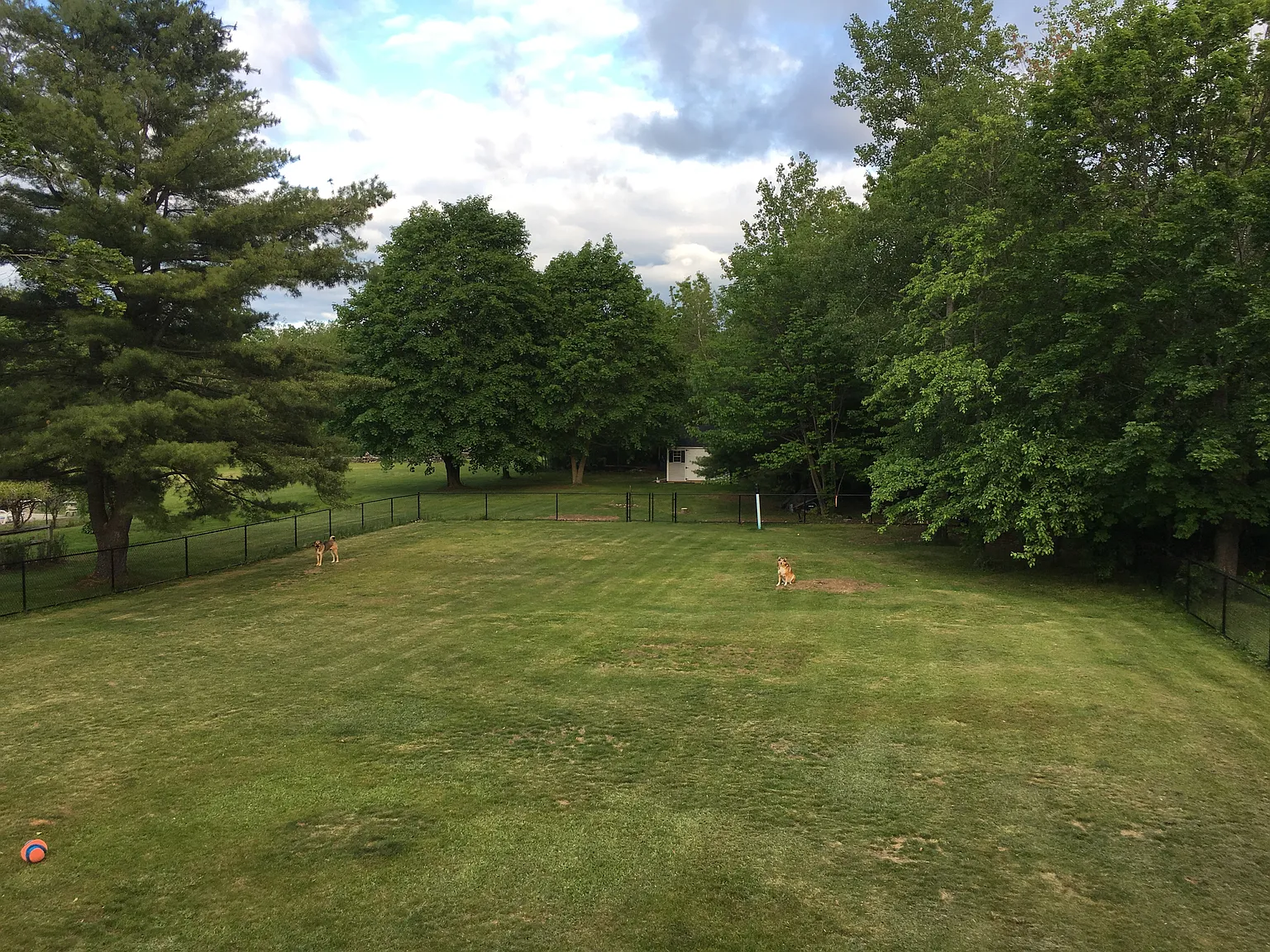 3 bed, 2200 sqft, $3,500 — Photo 4