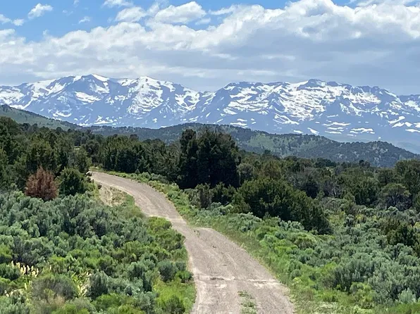 753 Woodhills Ln, Wells, NV 89835