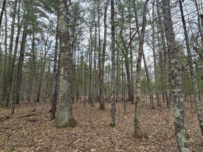 Coates Hwy, Brethren, MI, 49619