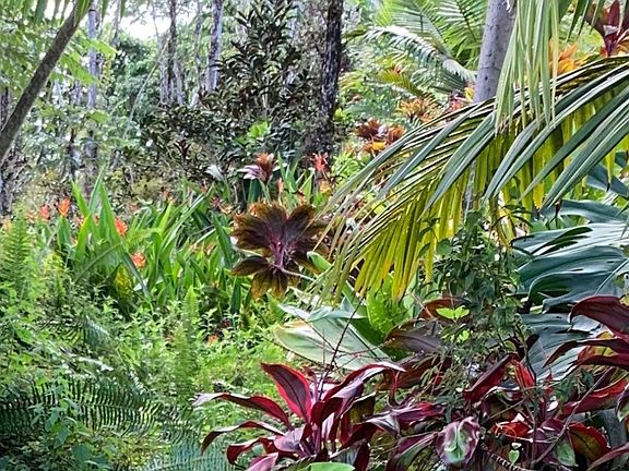 2nd image of Malolo St Lot 984