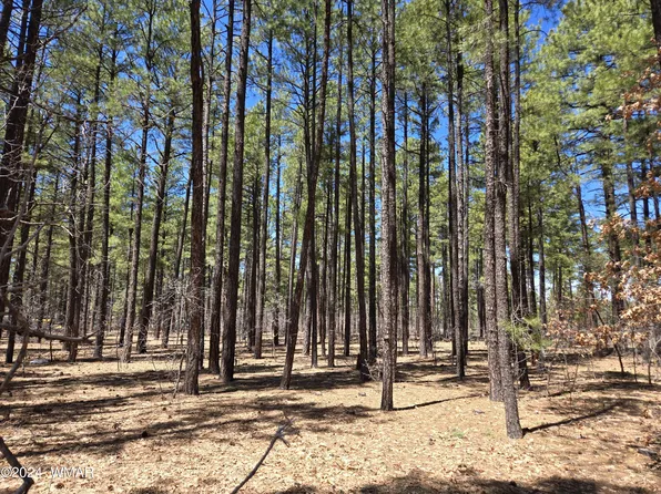 S English Dr, Pinetop, AZ 85935