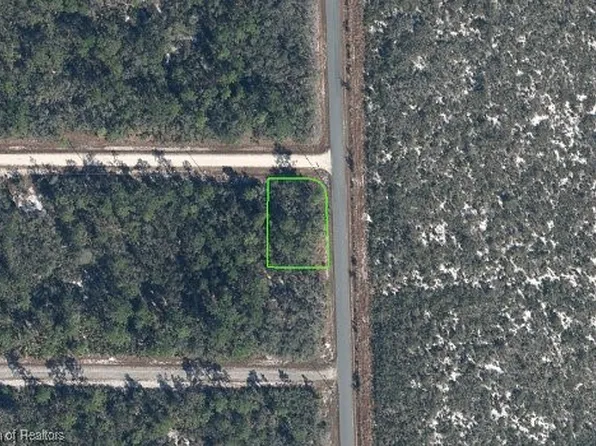 650 Daffodil St, Lake Placid, FL 33852