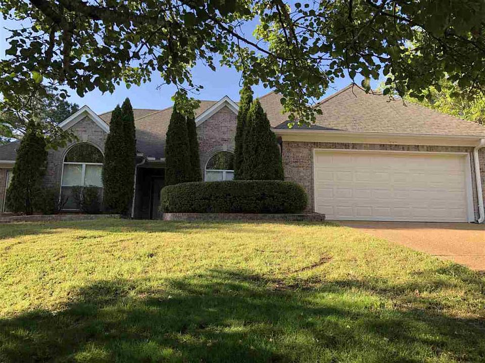 1st image of 10152 Cypress Knee