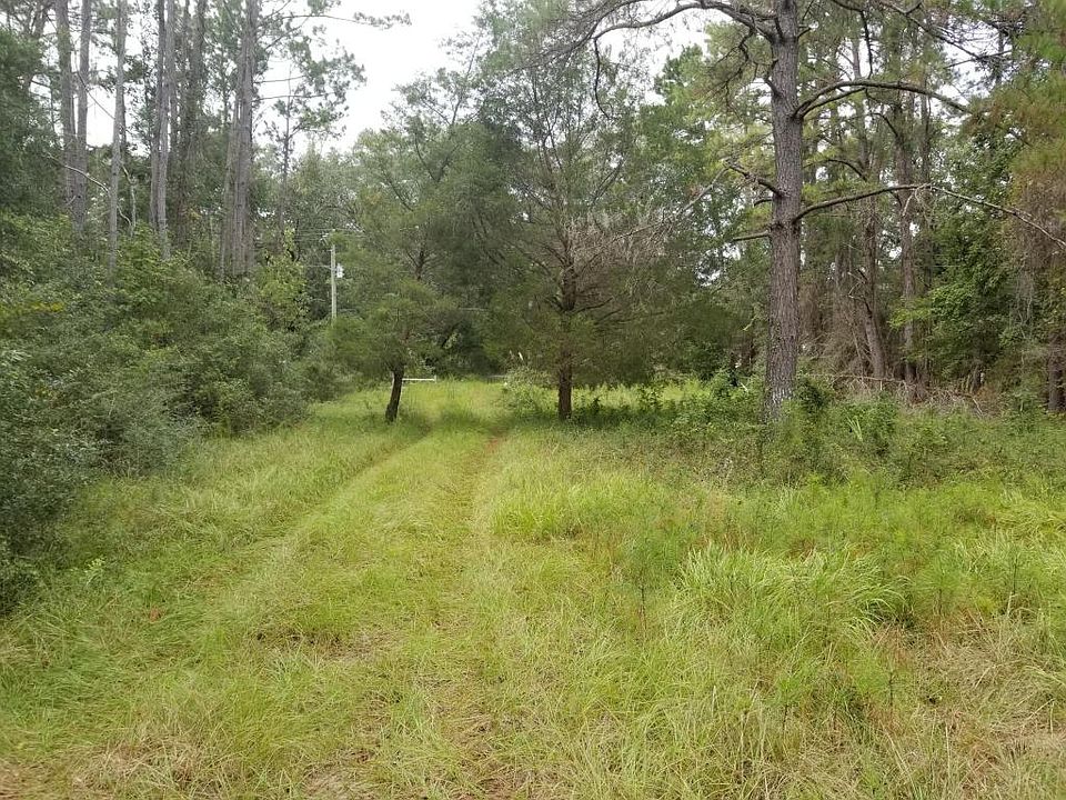 2nd image of 2893 Bohicket Rd