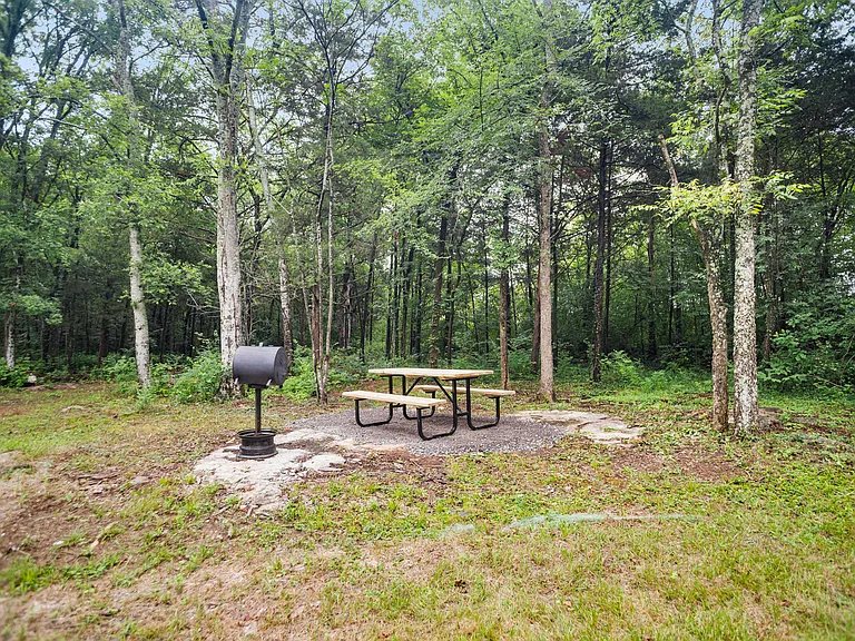 205 Woodcraft Dr — Photo 27