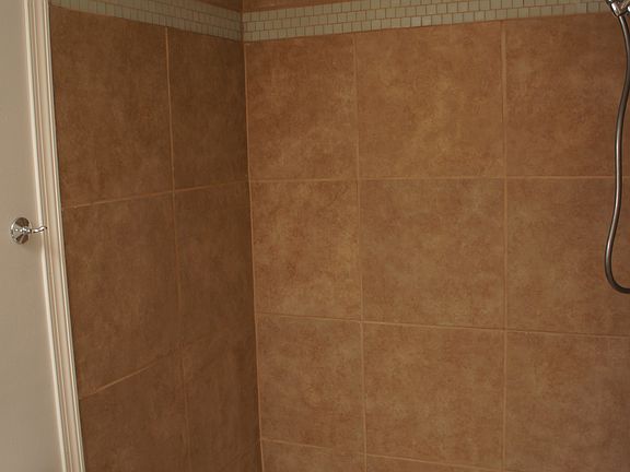 Master Bath Shower