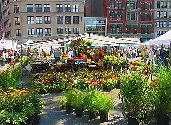 Rented by Next Step Realty New York LLC