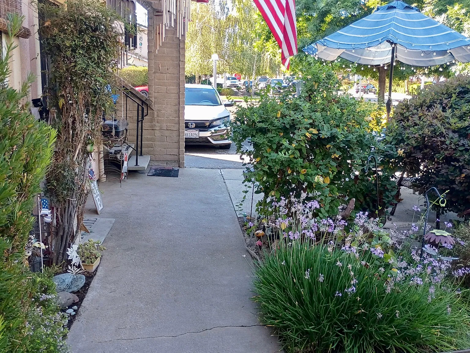 1 bed, 600 sqft, $1,275 — Photo 2