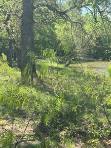 6449 Newt Patterson Rd, Mansfield, TX, 76063