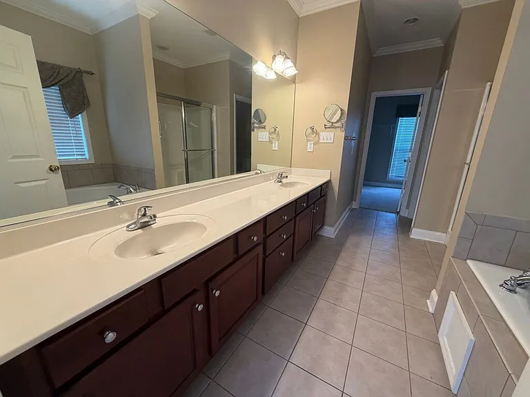 4601 Ivy Rose Dr — Photo 8