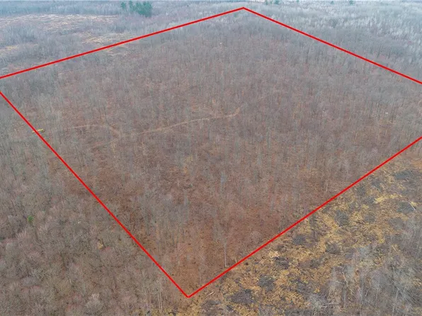 40 Acres Dickerson Avenue, Thorp, WI 54771