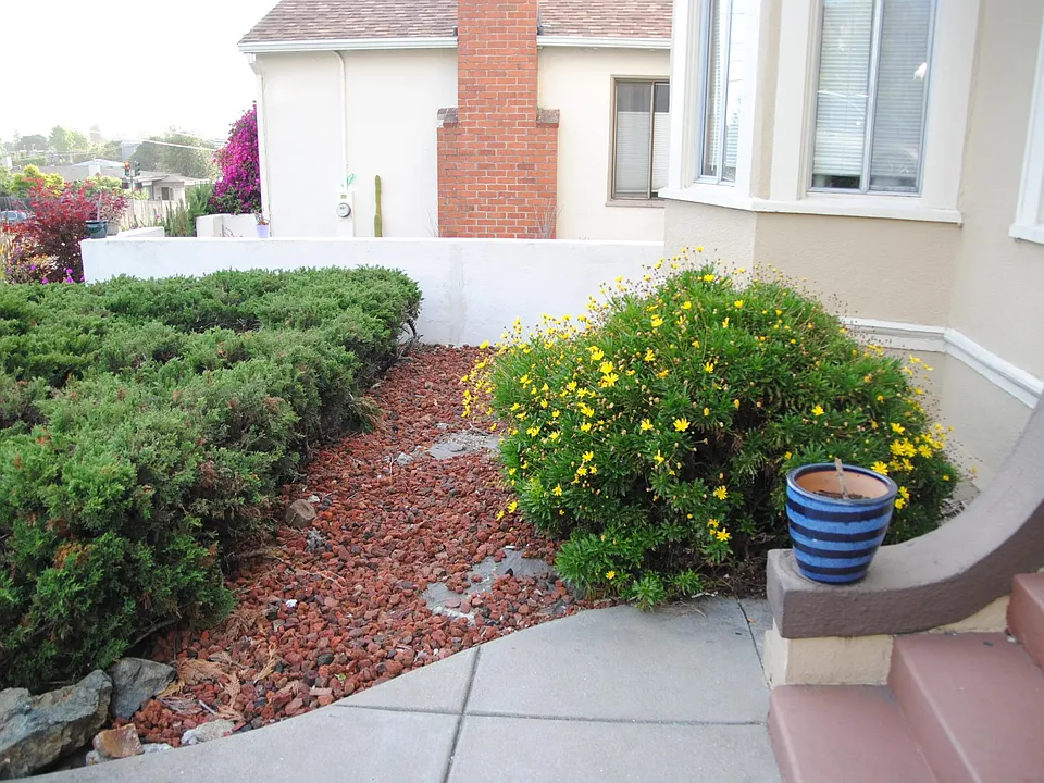 Front yard