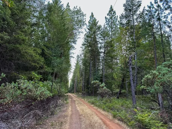 Pleasant Cr Rd #115, Rogue River, OR 97537