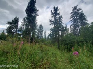 36145 Flintstone St, Anchor Point, AK 99556