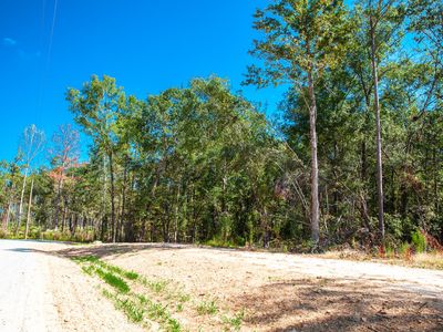 555 Rabbit Pen Drive, Appling, GA, 30802