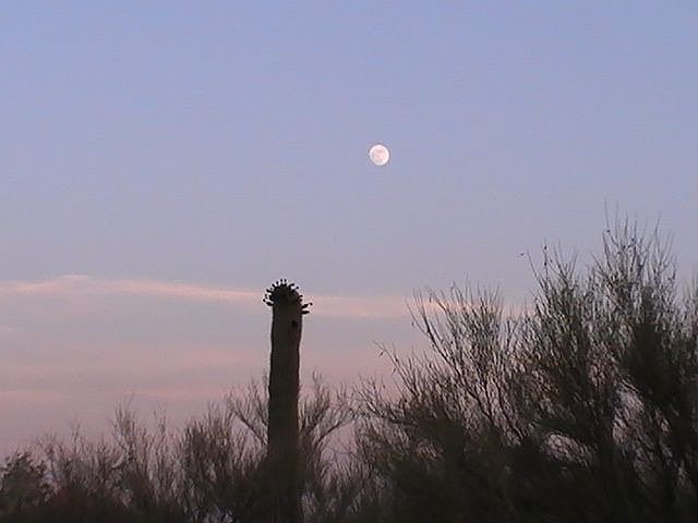 View behind our house.