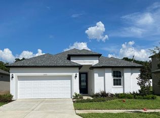 1091 Davis Heather Cir, Seffner, FL 33584