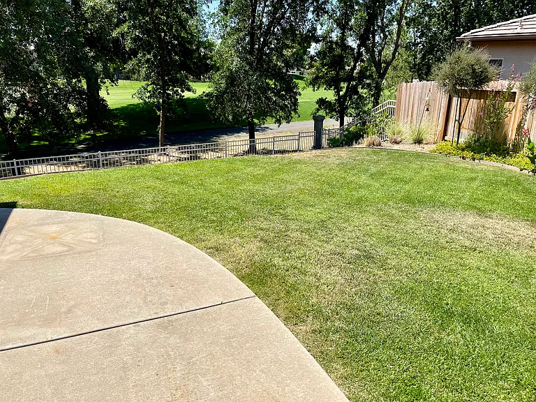 Backyard overlooking golf course