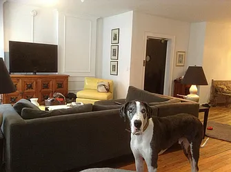 Rented by The Loft Broker